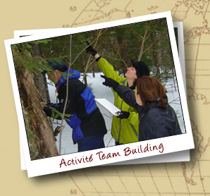 Activité Team building plein air